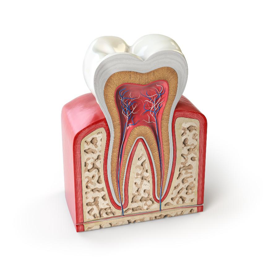 Why is Preserving Tooth Structure so Important?